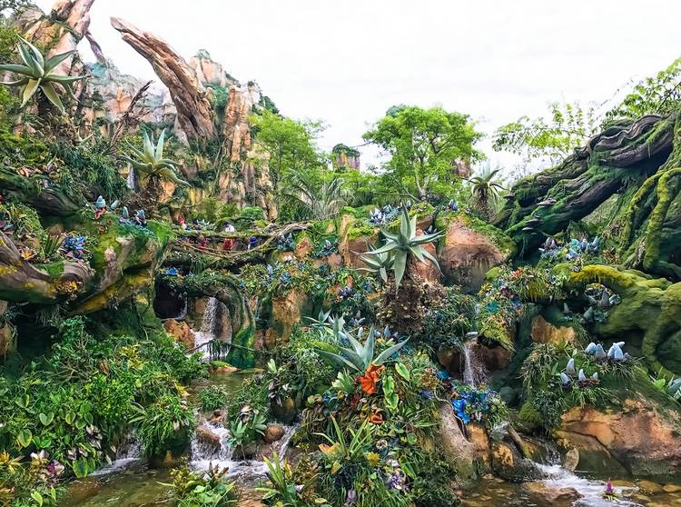 Avatar in Disney’s Animal Kingdom