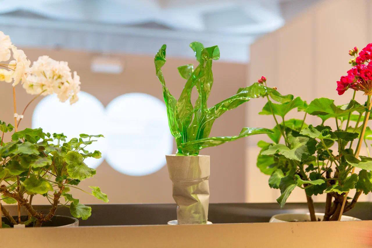 Павильон №29 «Цветоводство и озеленение»