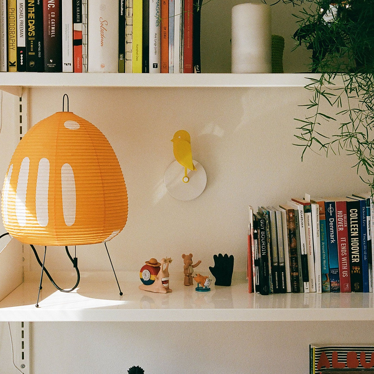 Сенсор Birdie