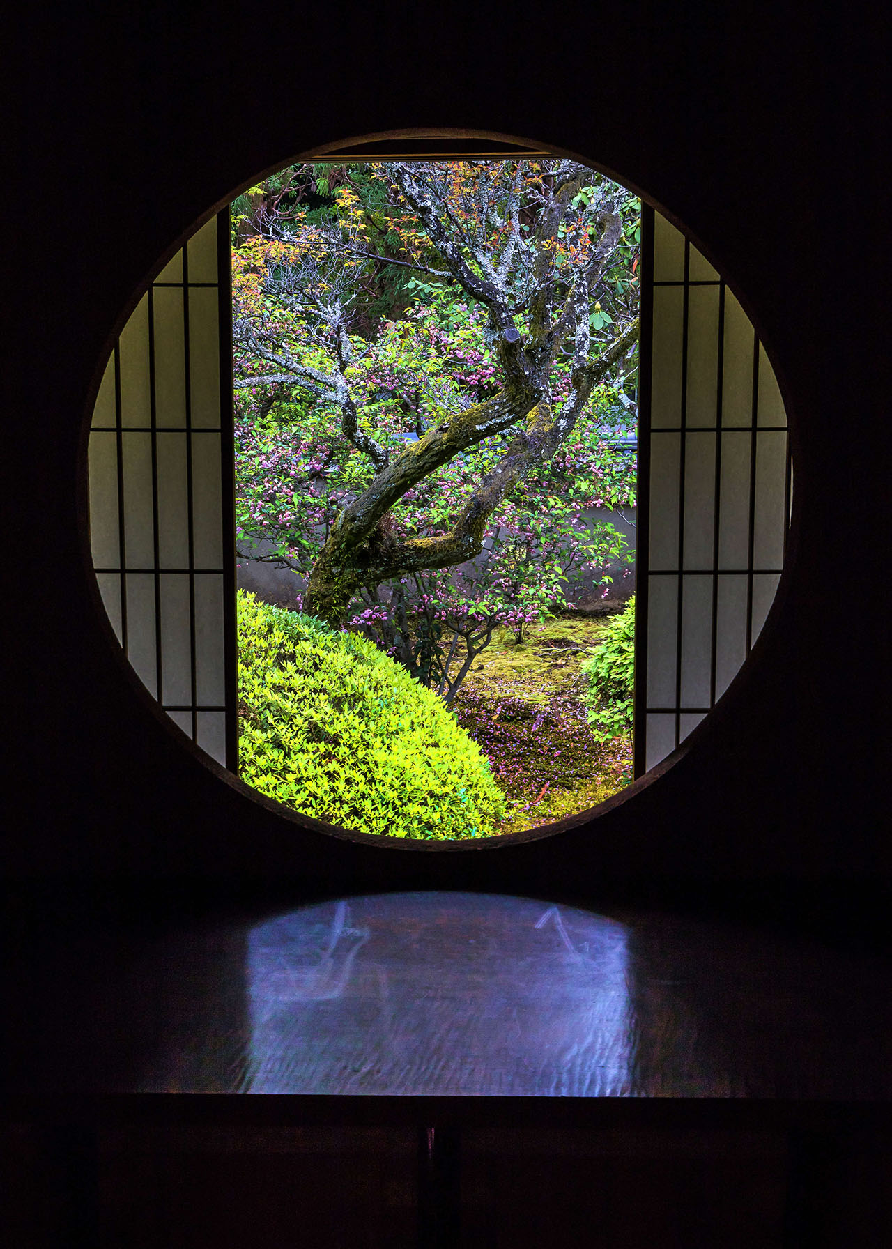 Окно в сад цубо-нива