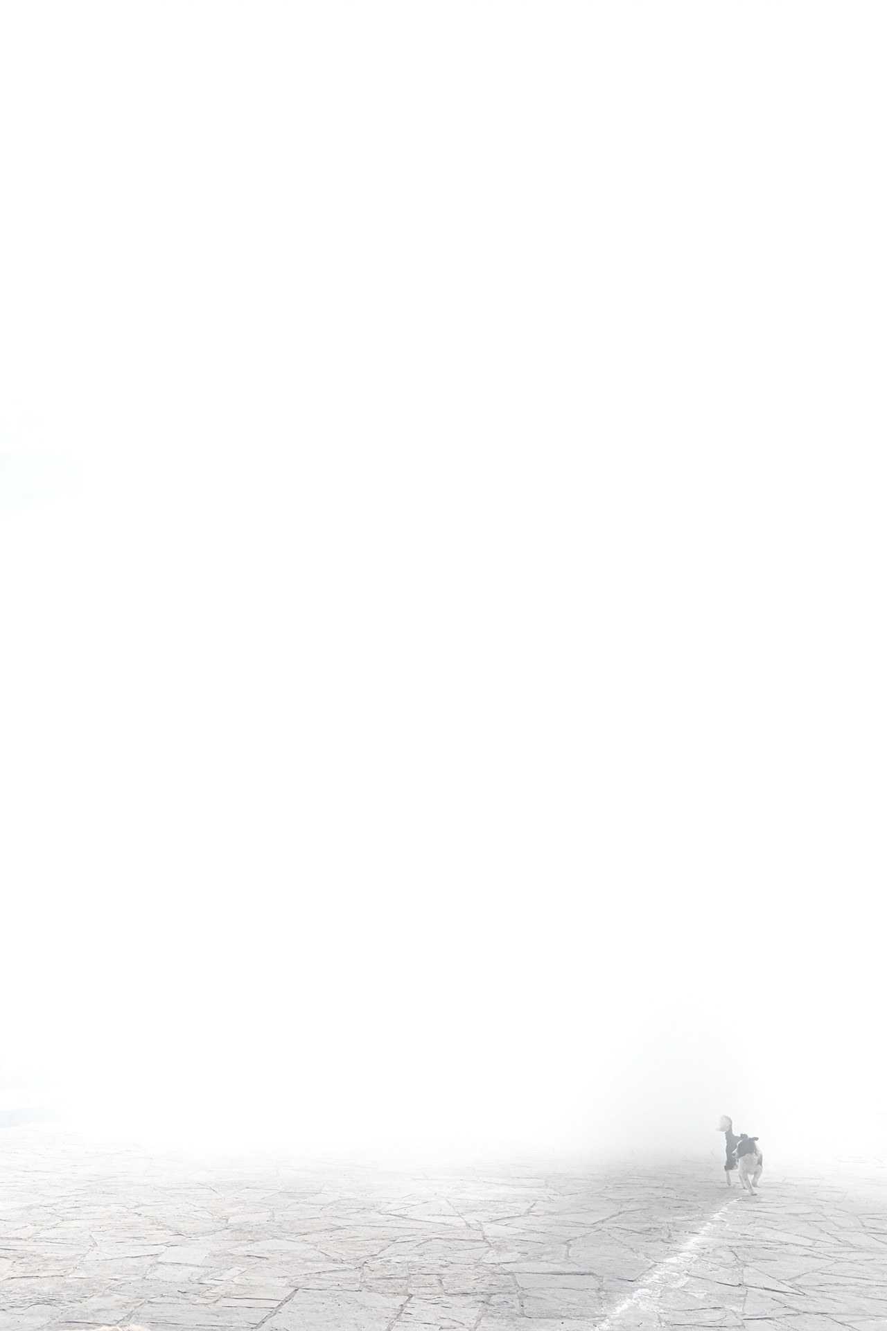 Дарья Шарова, «Пробуждение»