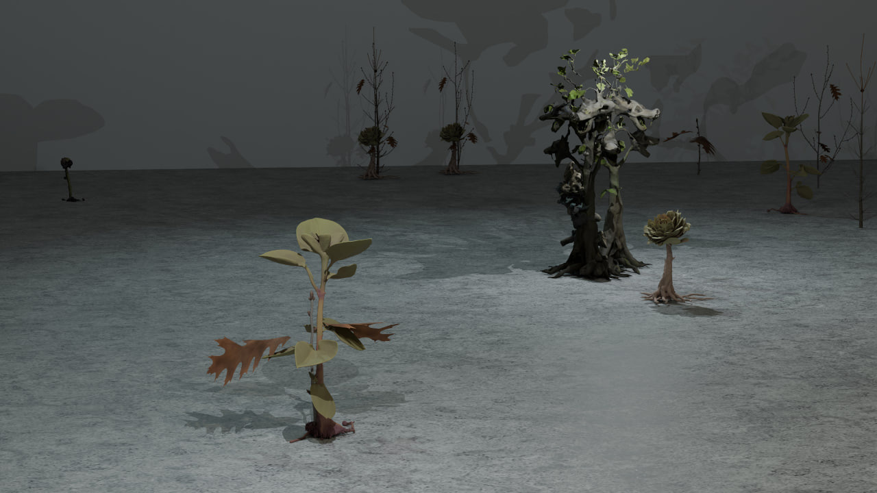 Анна Комарова, инсталляция «Хора»