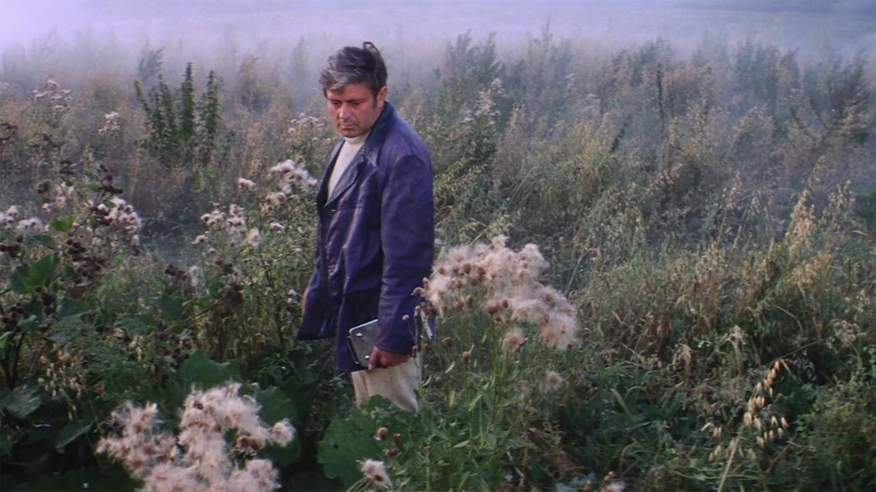 Кадр из фильма «Солярис», режиссёр – Андрей Тарковский