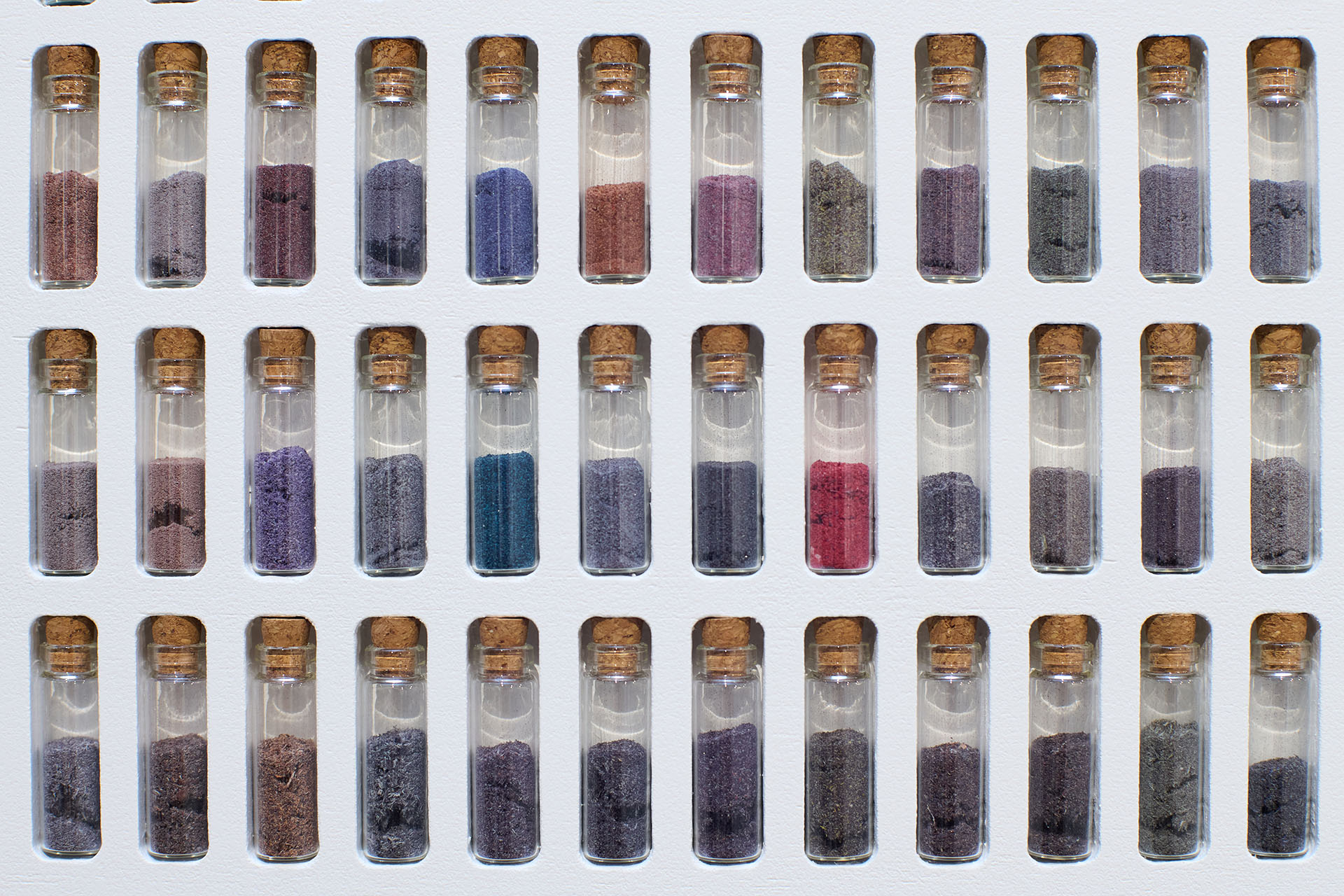 Лидия Жудро, Memento, 2025 год