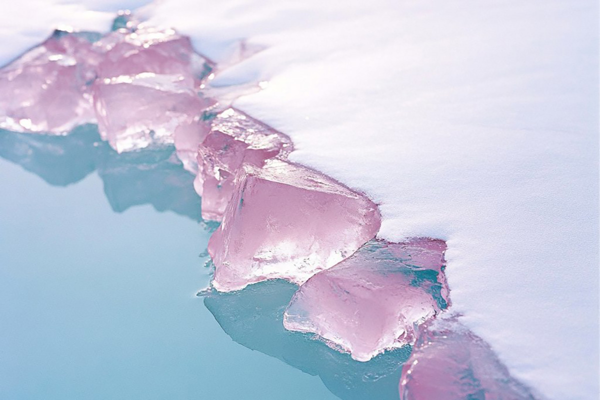 Лена Скрипкина, из цикла «За розовым морем», 2025 год