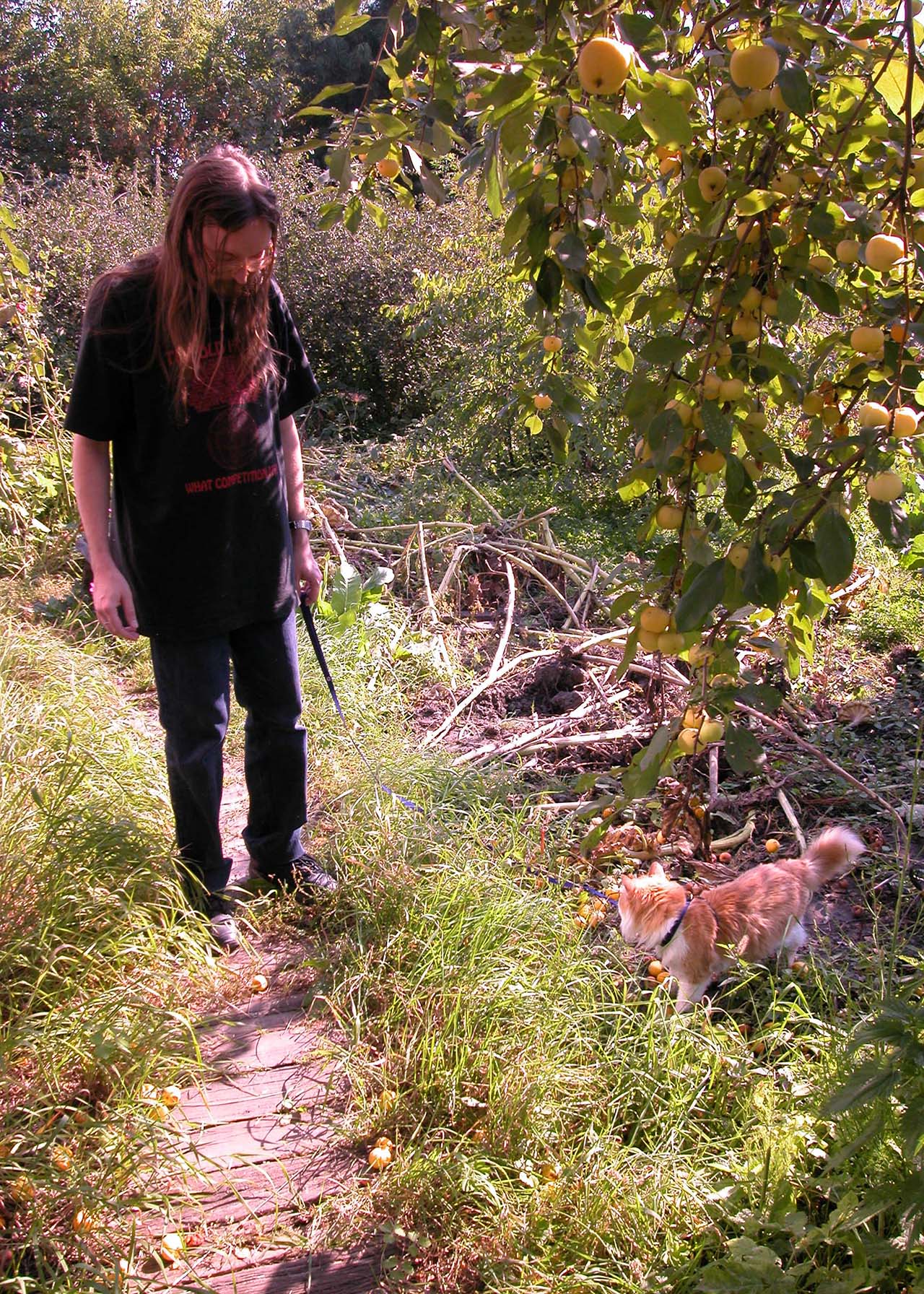 На даче, сентябрь 2003 года