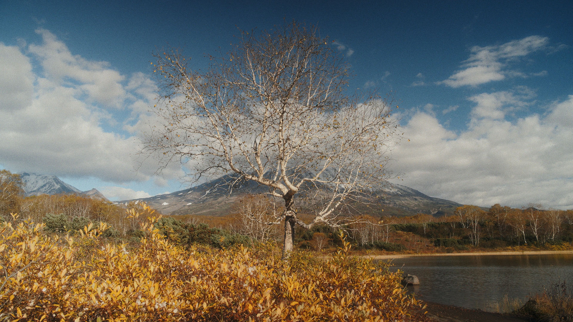 Кадр из фильма «Очаги. Продолжение. Жизни»