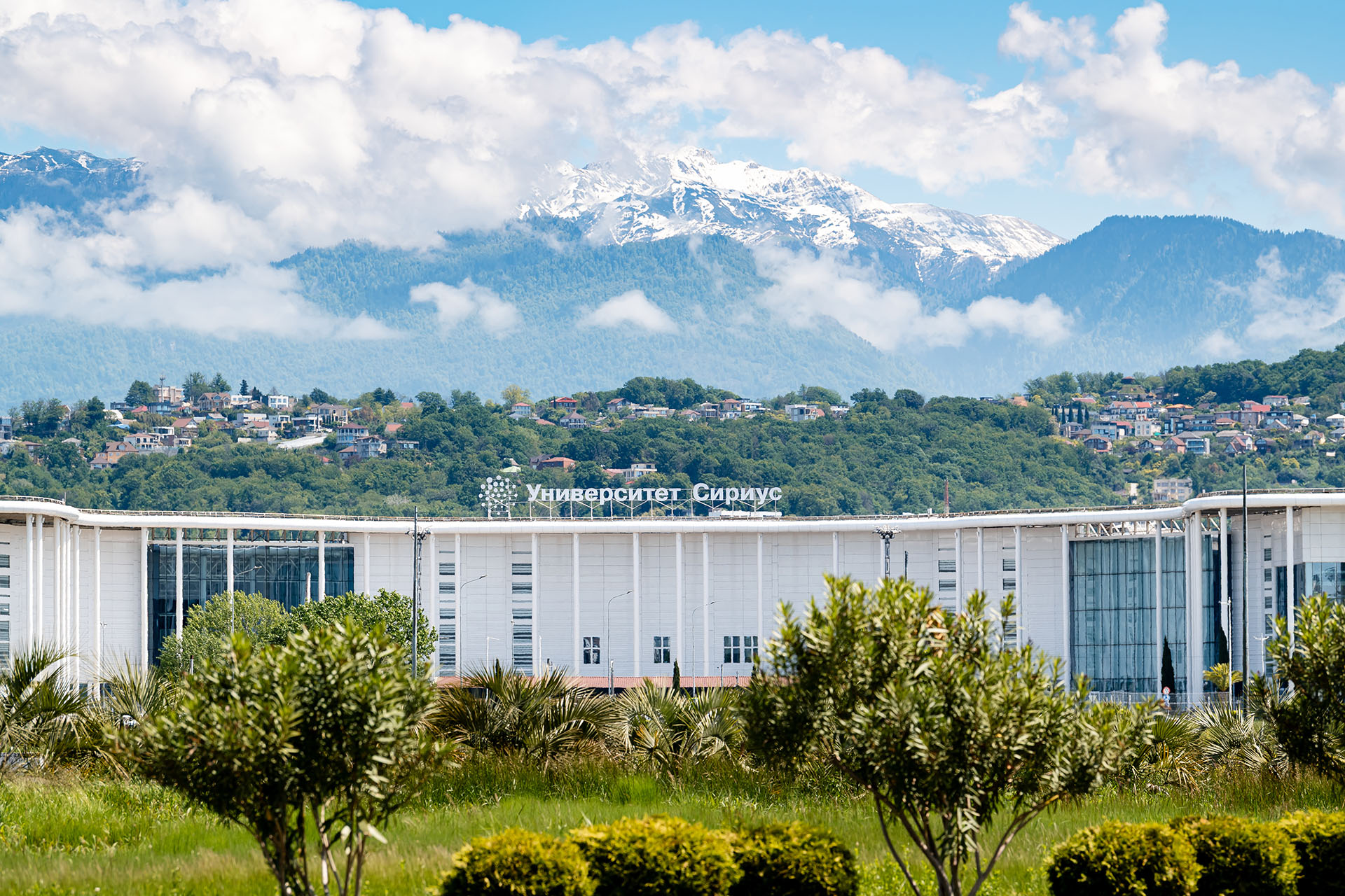 Университет «Сириус»