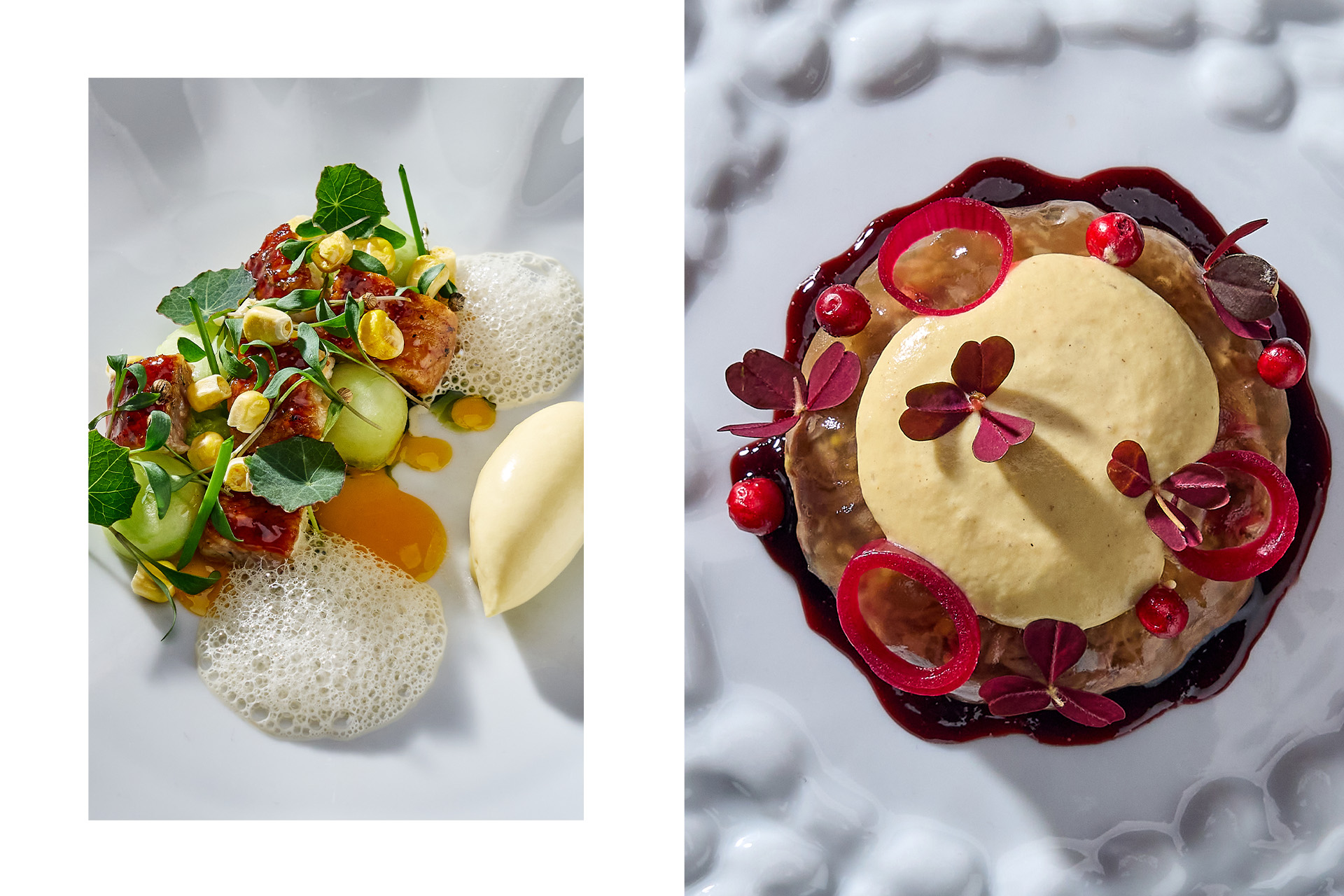 Салат с копчёным угрем и мороженым из кукурузы / Холодец из бычка с муссом из фуа-гра и винной редукцией