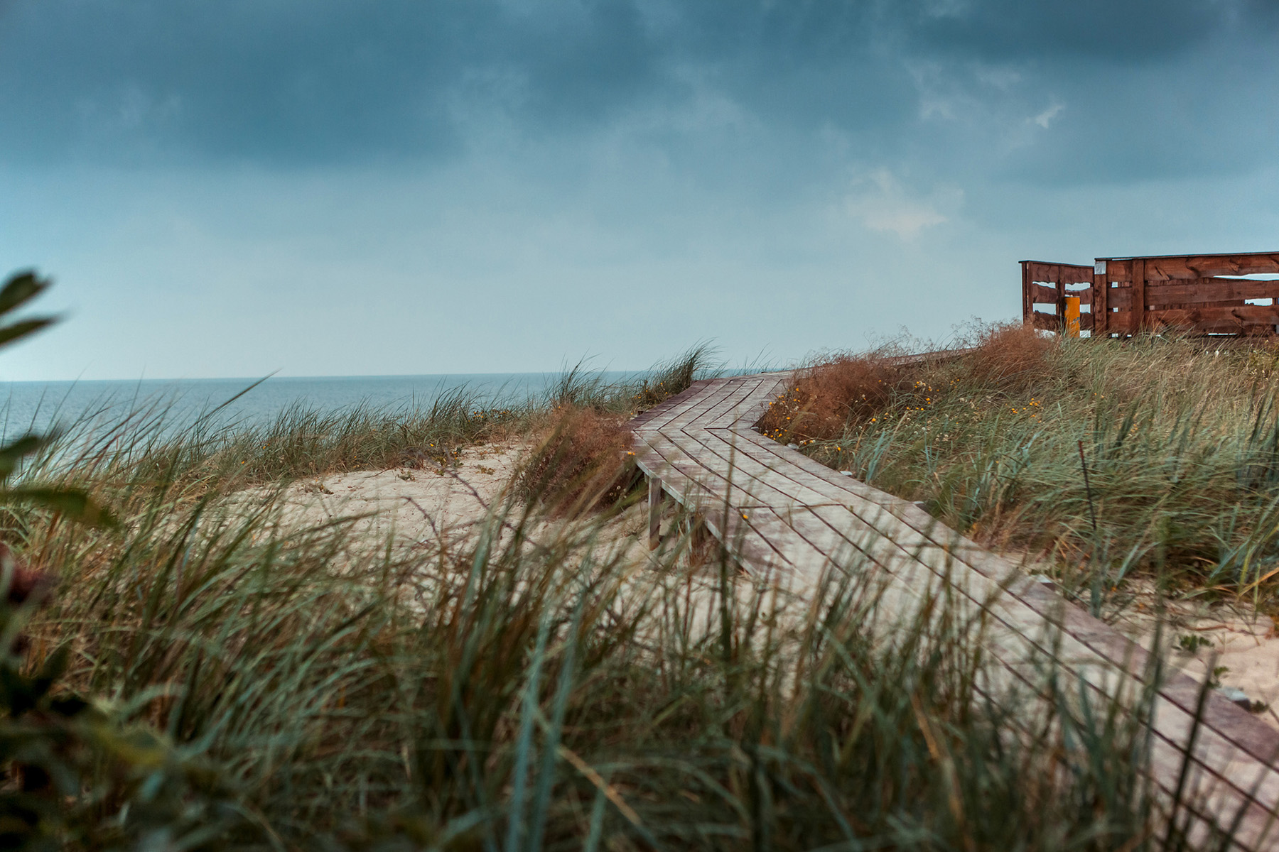 Куршская коса, Калининградская область