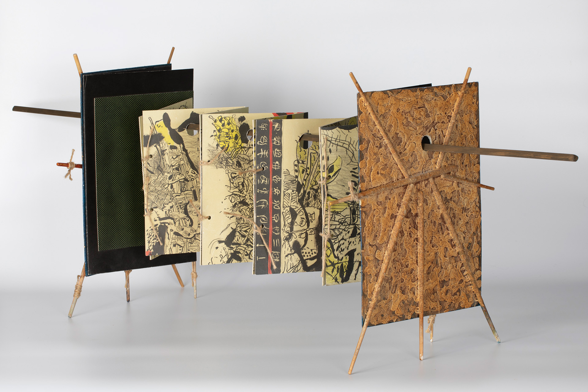 Власов Василий, «Книга рыб», 1991-2009 годы