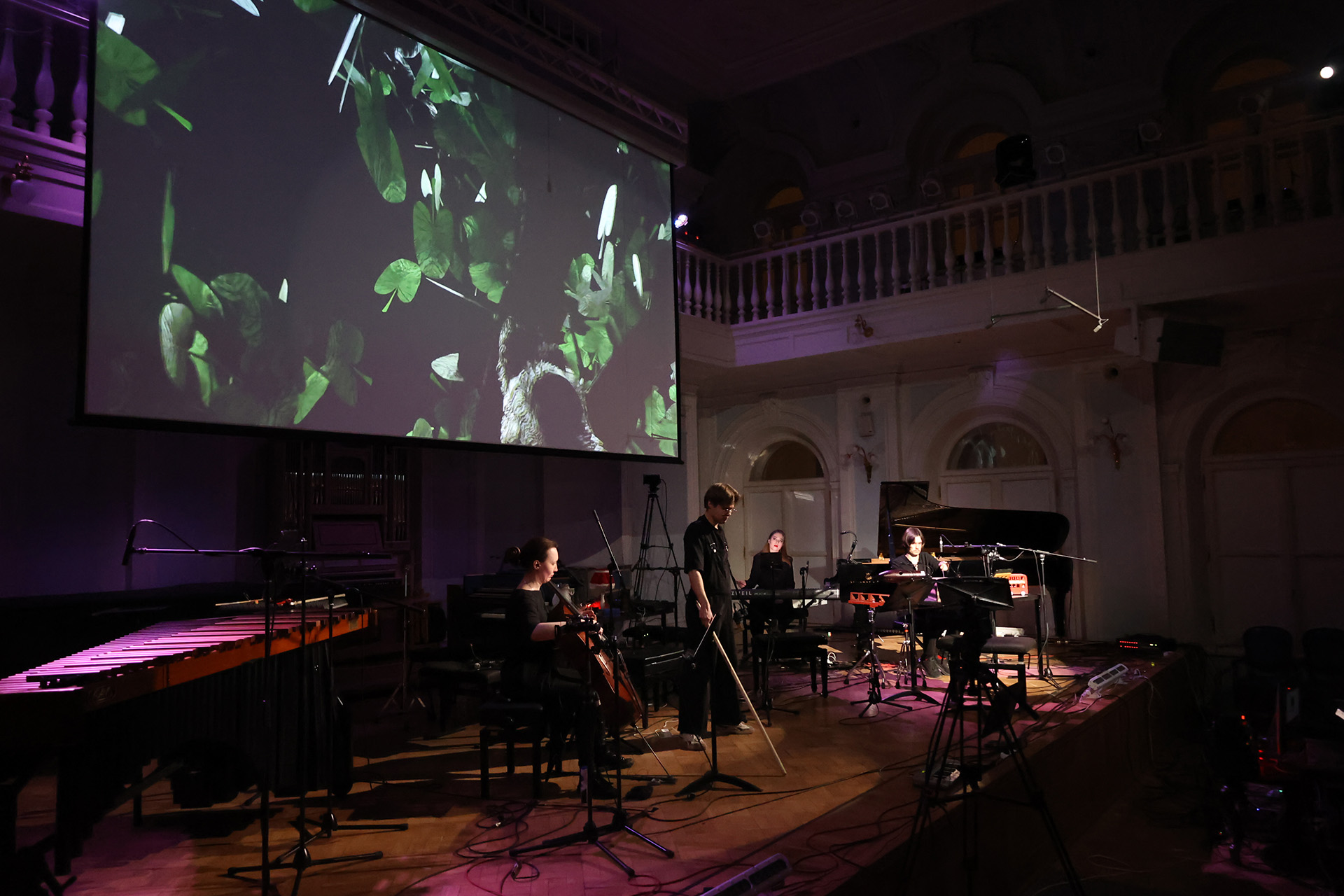 На фестивале «Биомеханика»