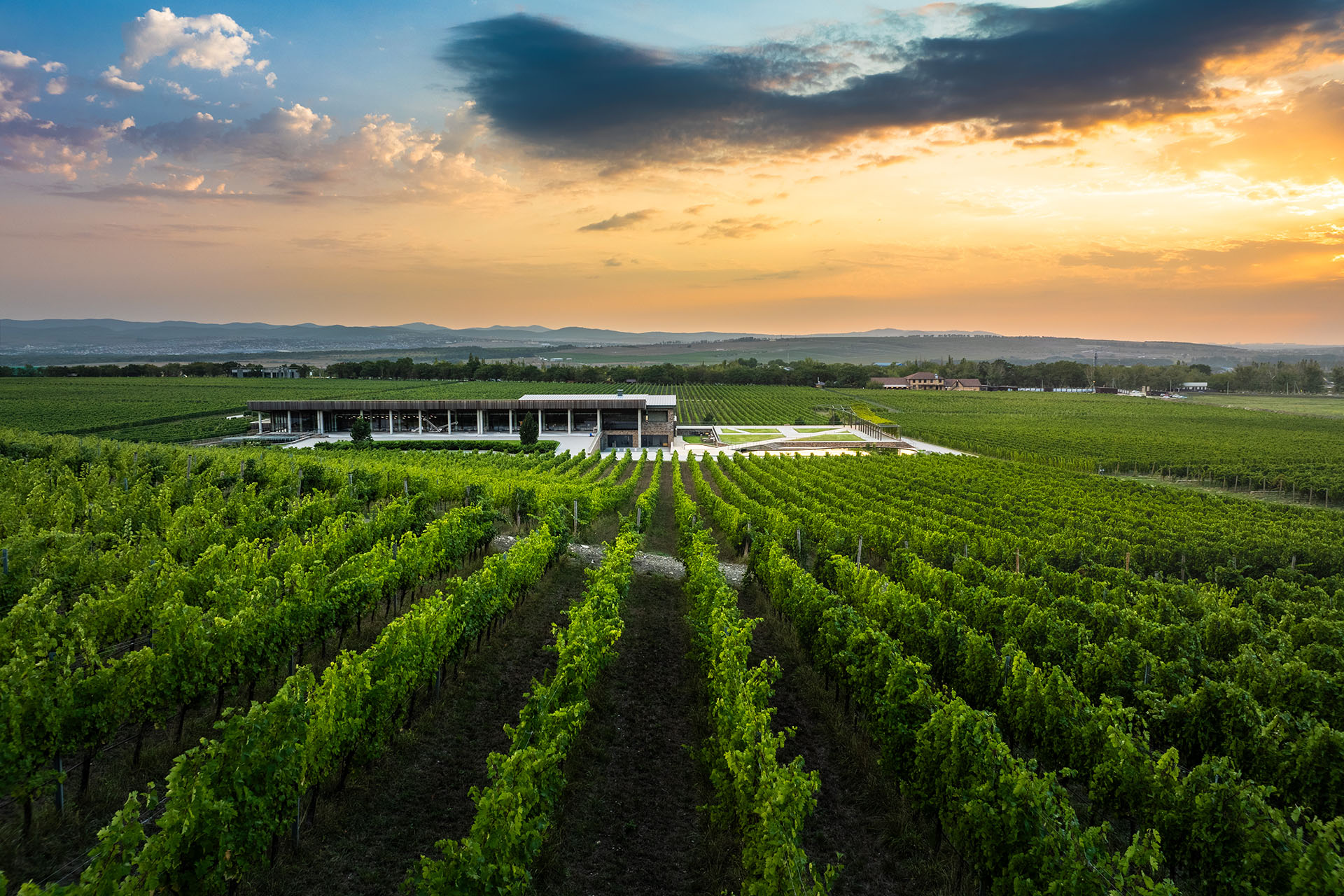 «Имение Сикоры»