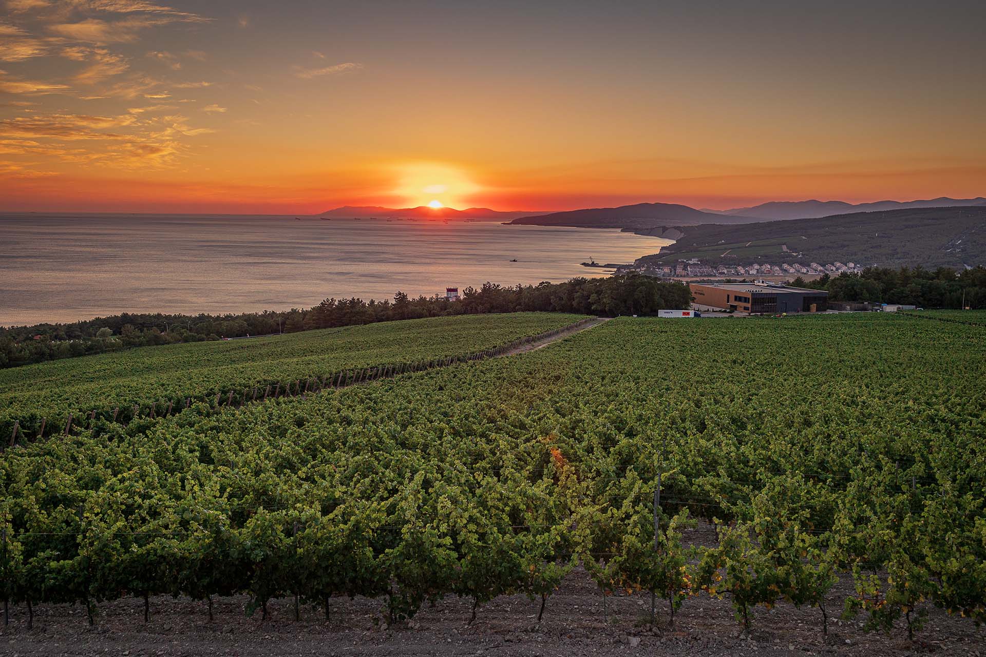 «Усадьба Мезыбь»