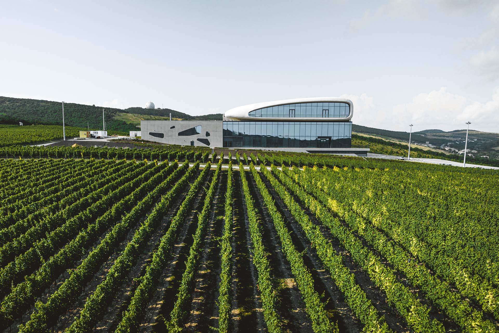 Винодельня «Скалистый берег»