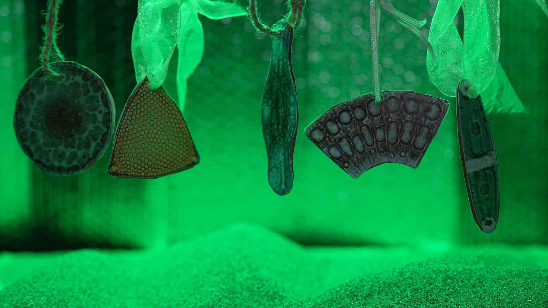 Кадр из фильма «Что может Силика?»