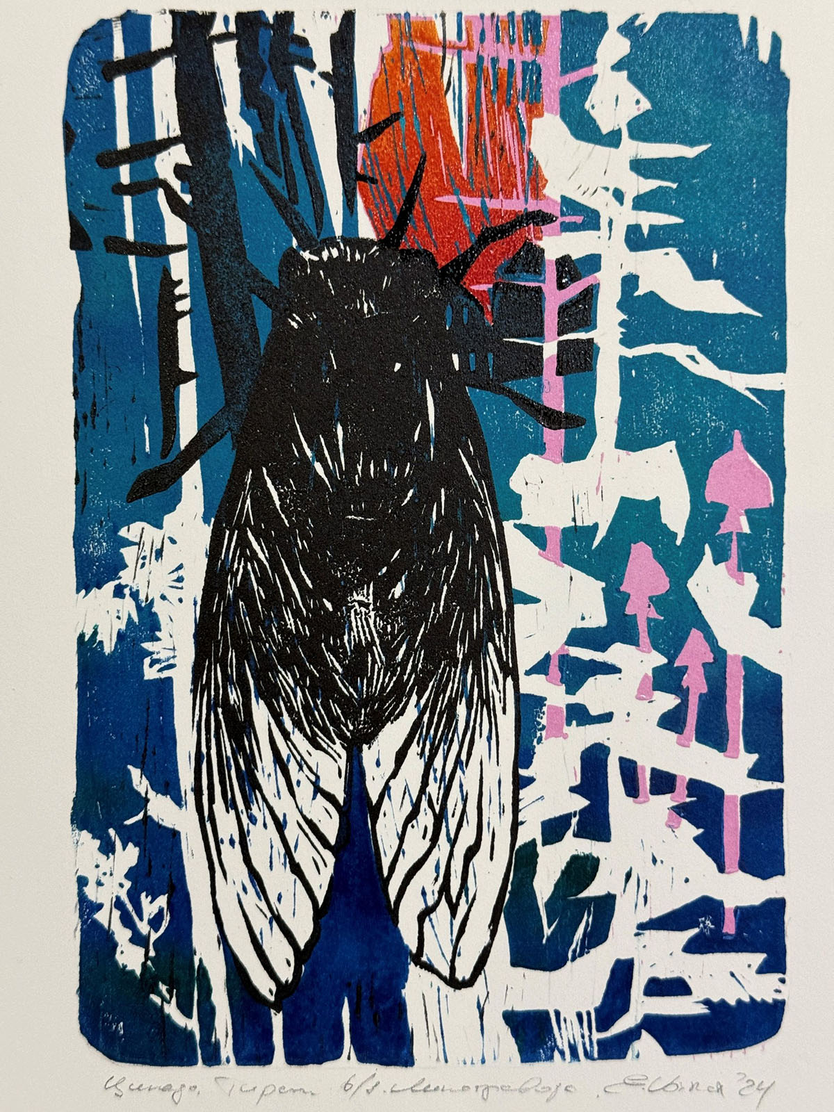 Евгения Войнар, «Цикада»