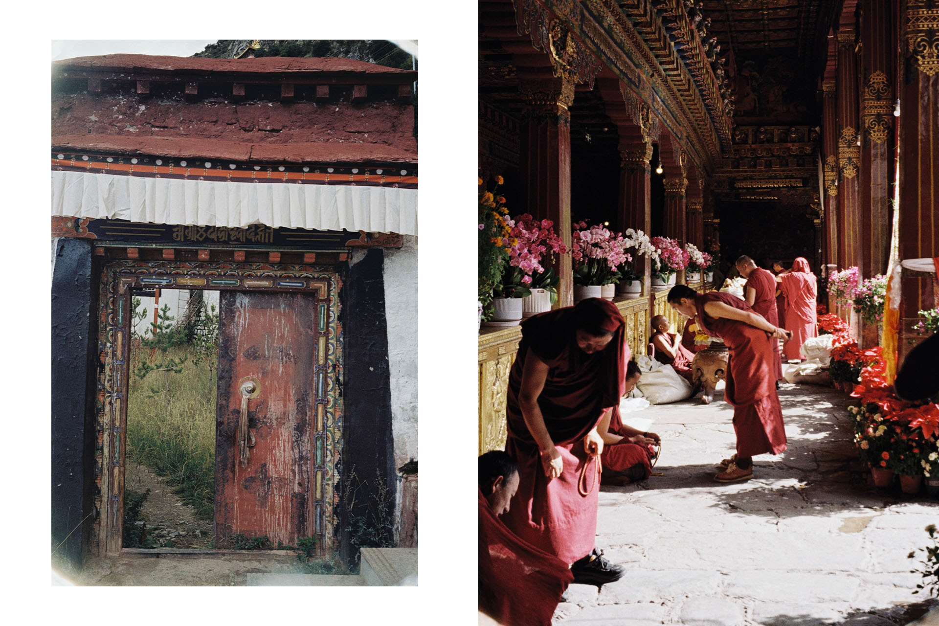 Дарья Шарова, «Дверь» / «Дебаты тибетских монахов»