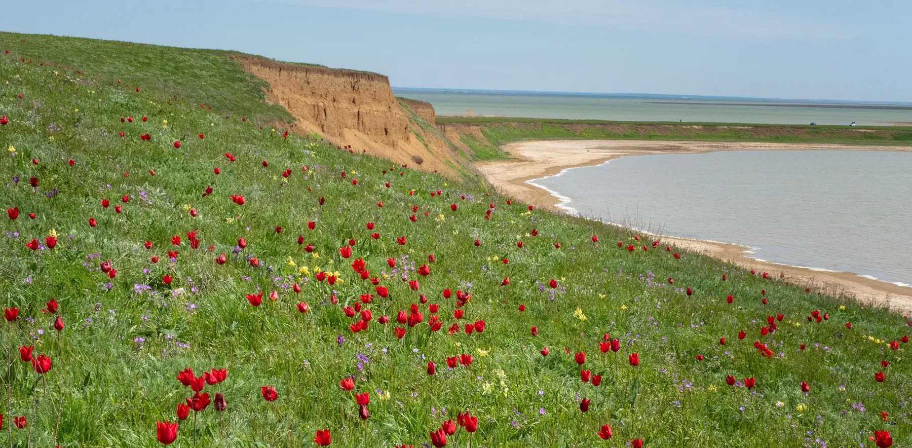ФГБУ «Государственный заповедник «Чёрные земли»