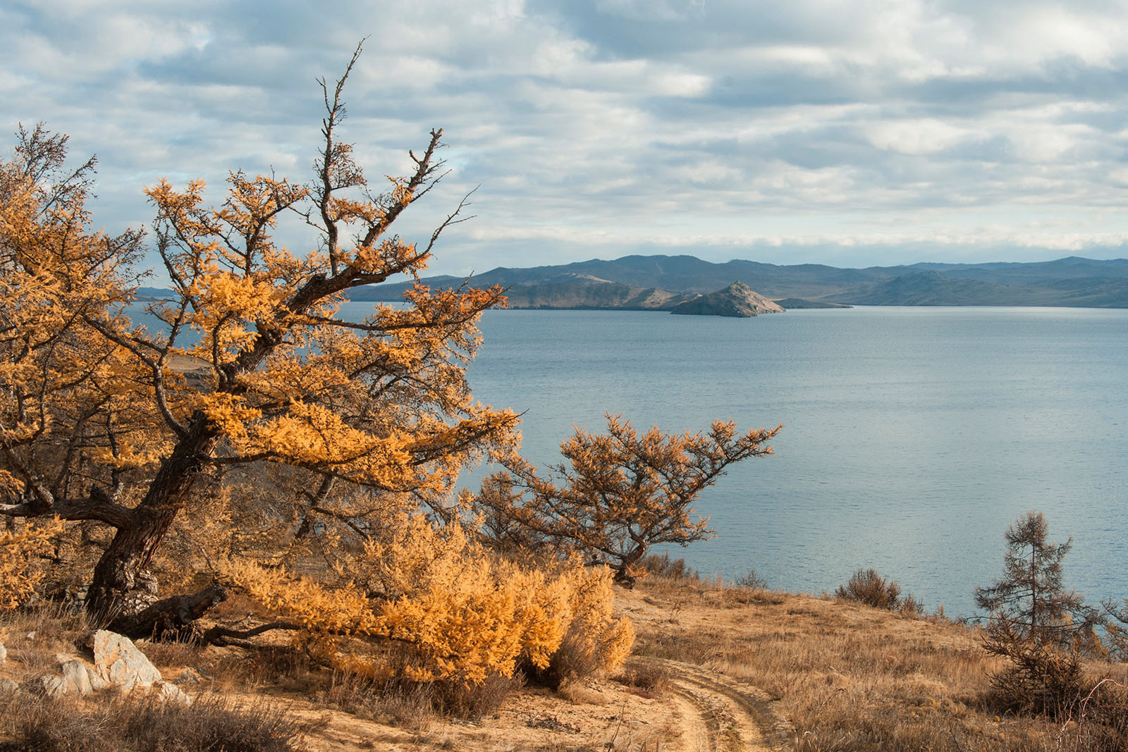 ФГБУ «Заповедное Прибайкалье»