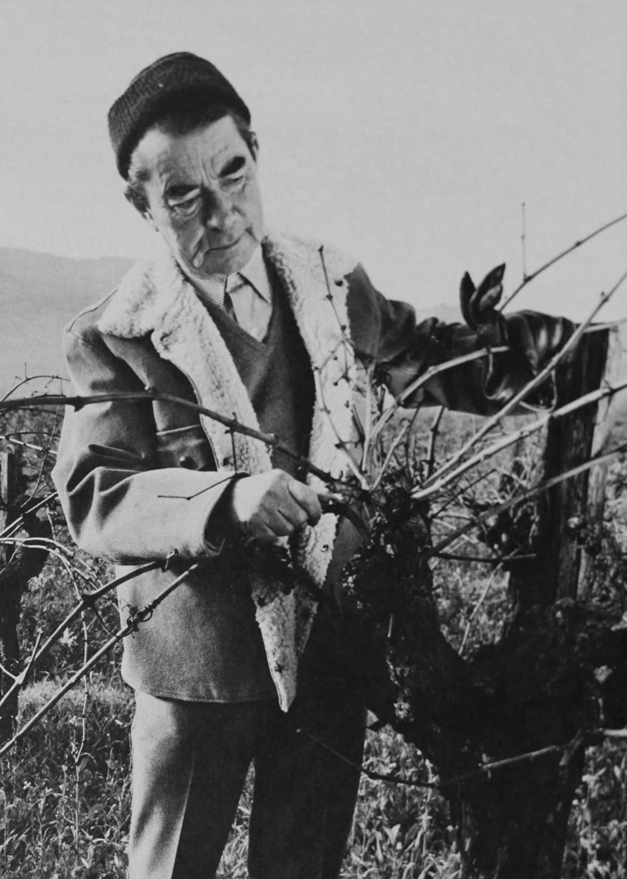 Кадр из фильма «Андрей – голос вина»