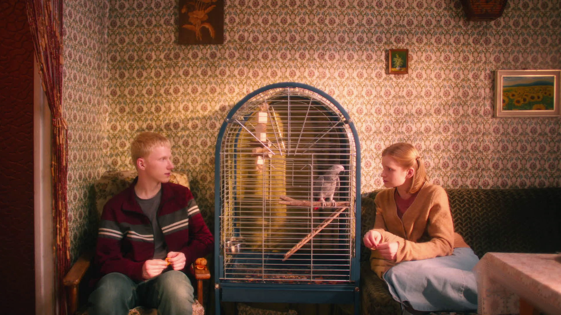 Кадр из фильма «Мальчик-птица»