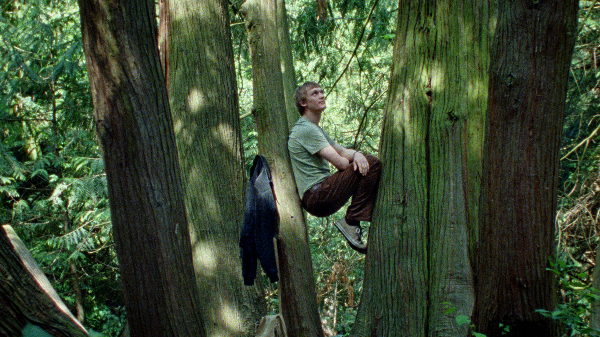 Кадр из фильма «Молчаливый друг»