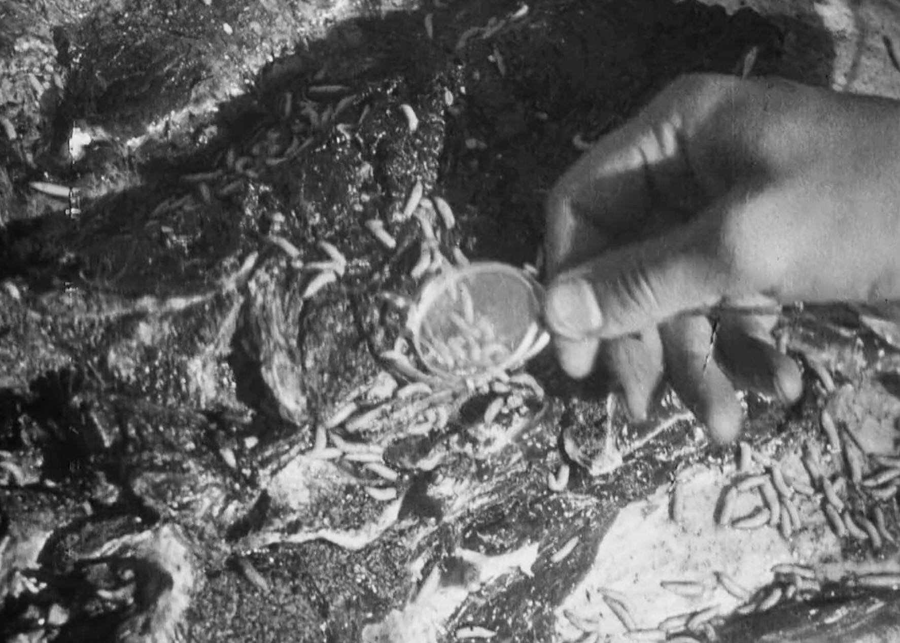 Кадр из фильма «Броненосец “Потёмкин”»