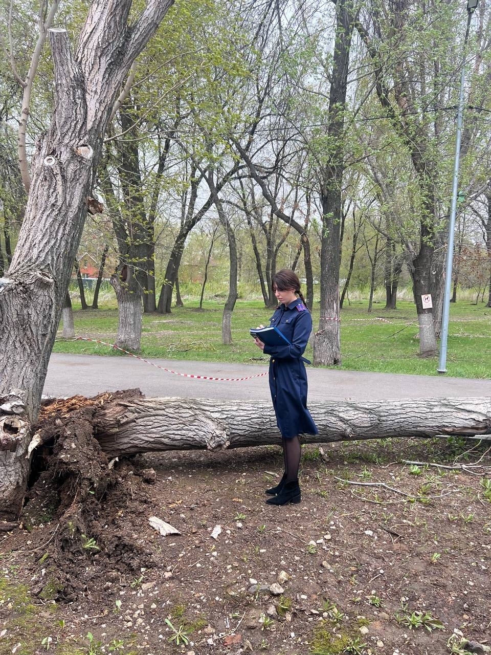 Дерево, упавшее на подростков в Самаре