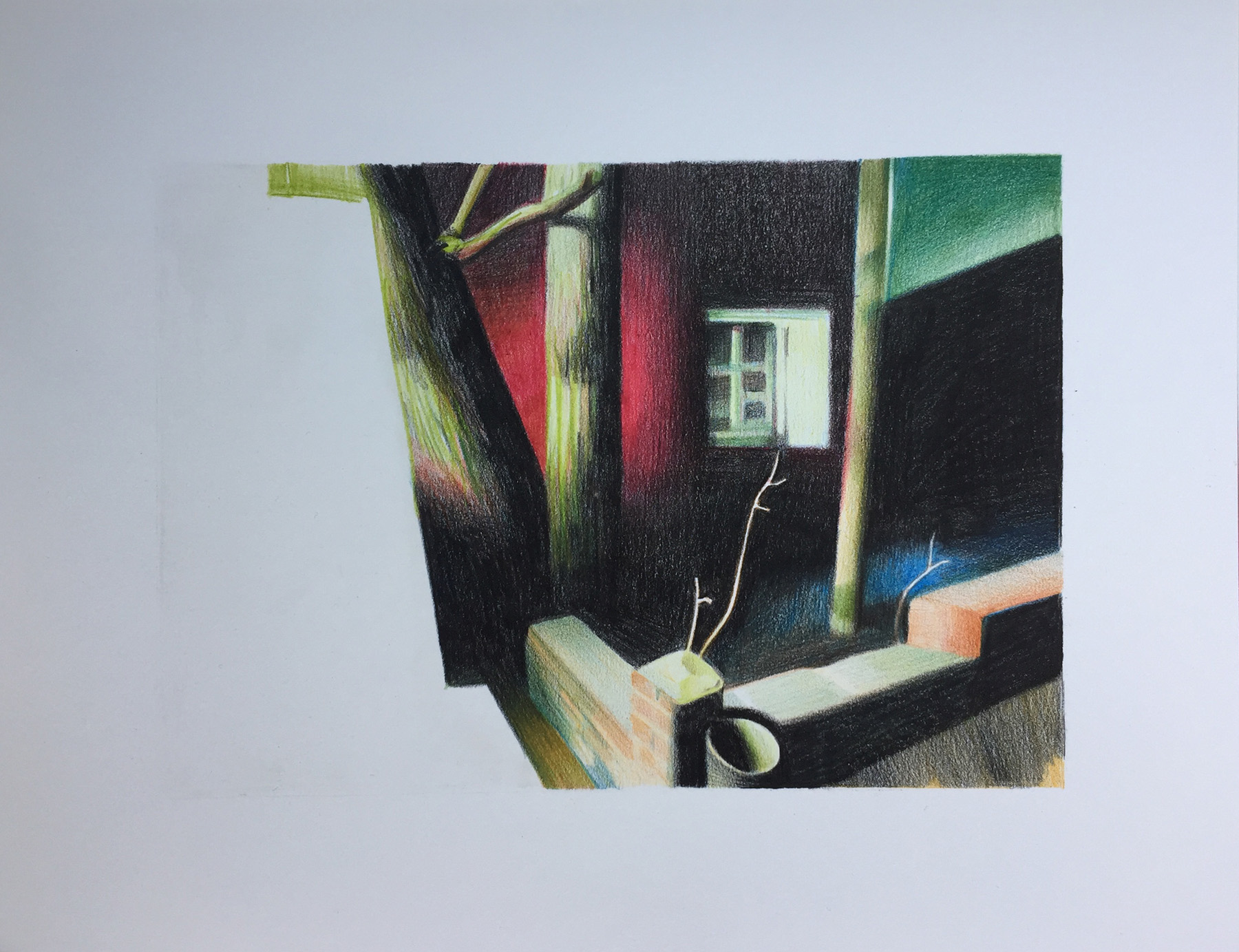 Сон собаки в быстрой фазе