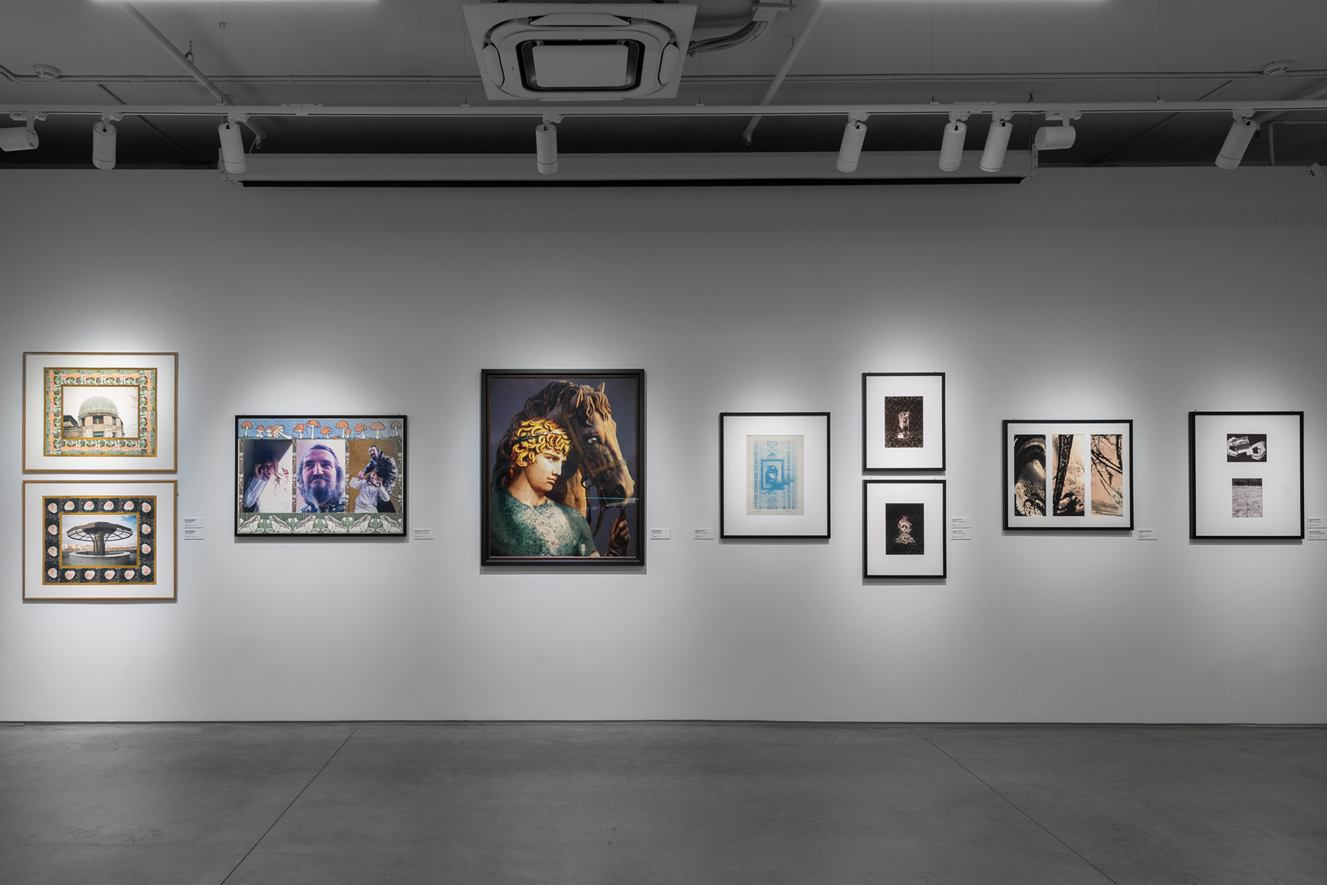 Экспозиция выставки «Художники и фотография»