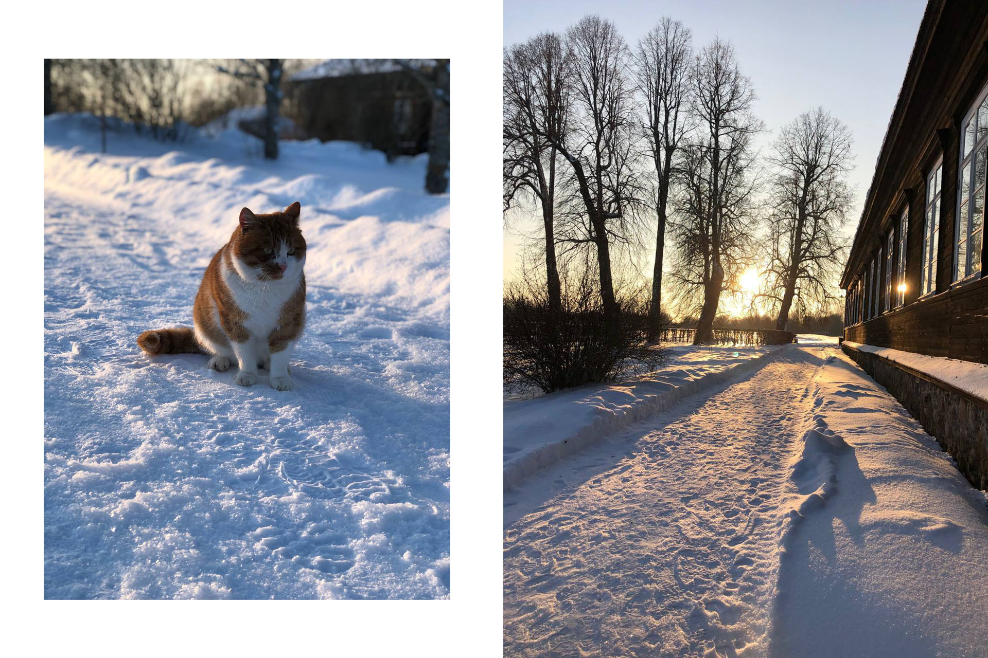 Усадьба Тригорское