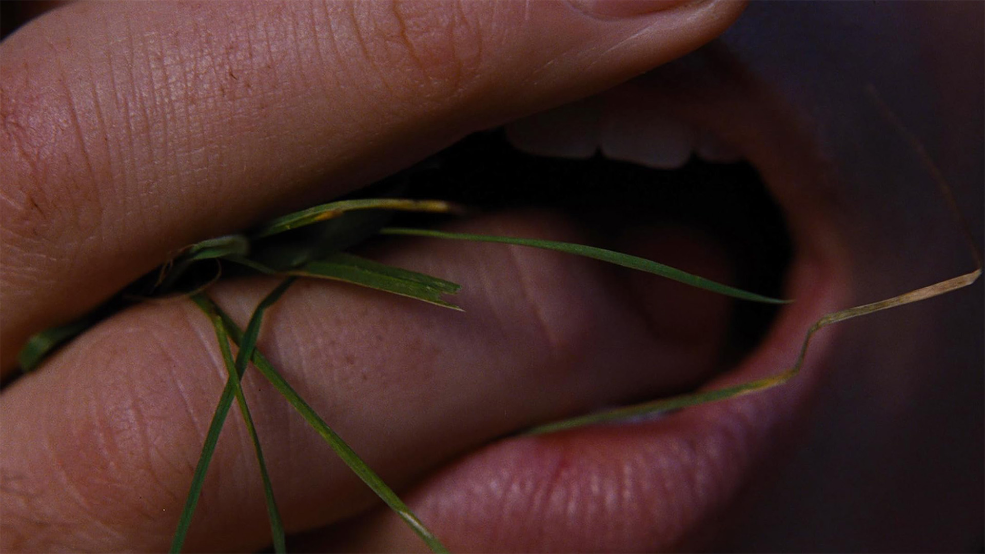 Кадр из фильма «Грозовой перевал»