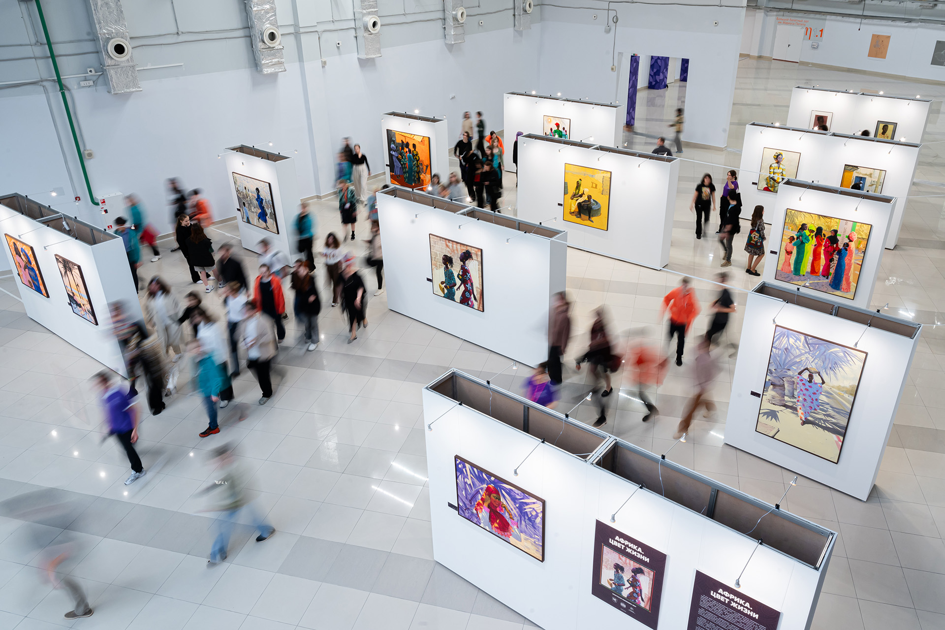 Экспозиция выставки «Африка. Цвет жизни»