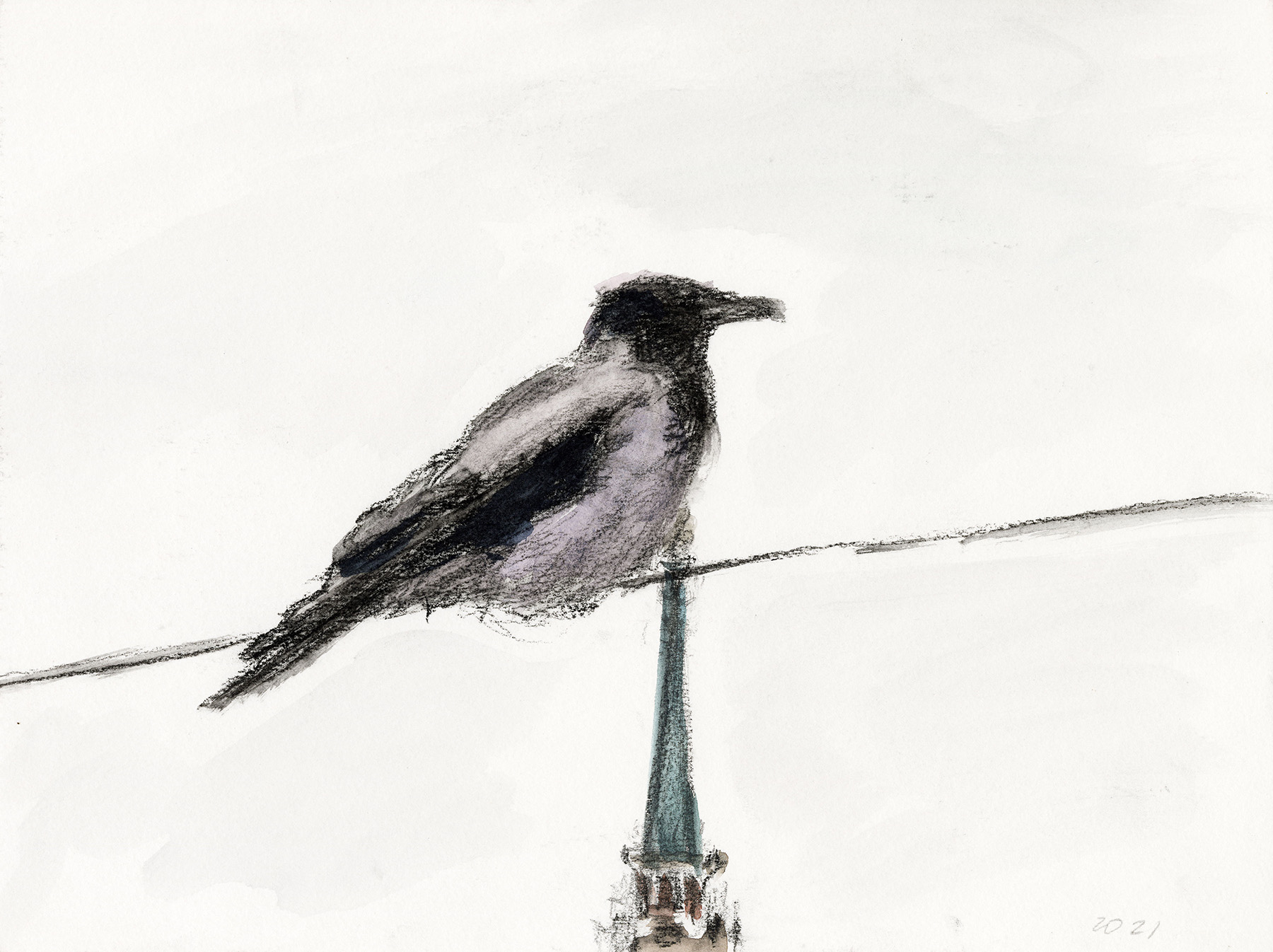 «Ворона», 2023 год