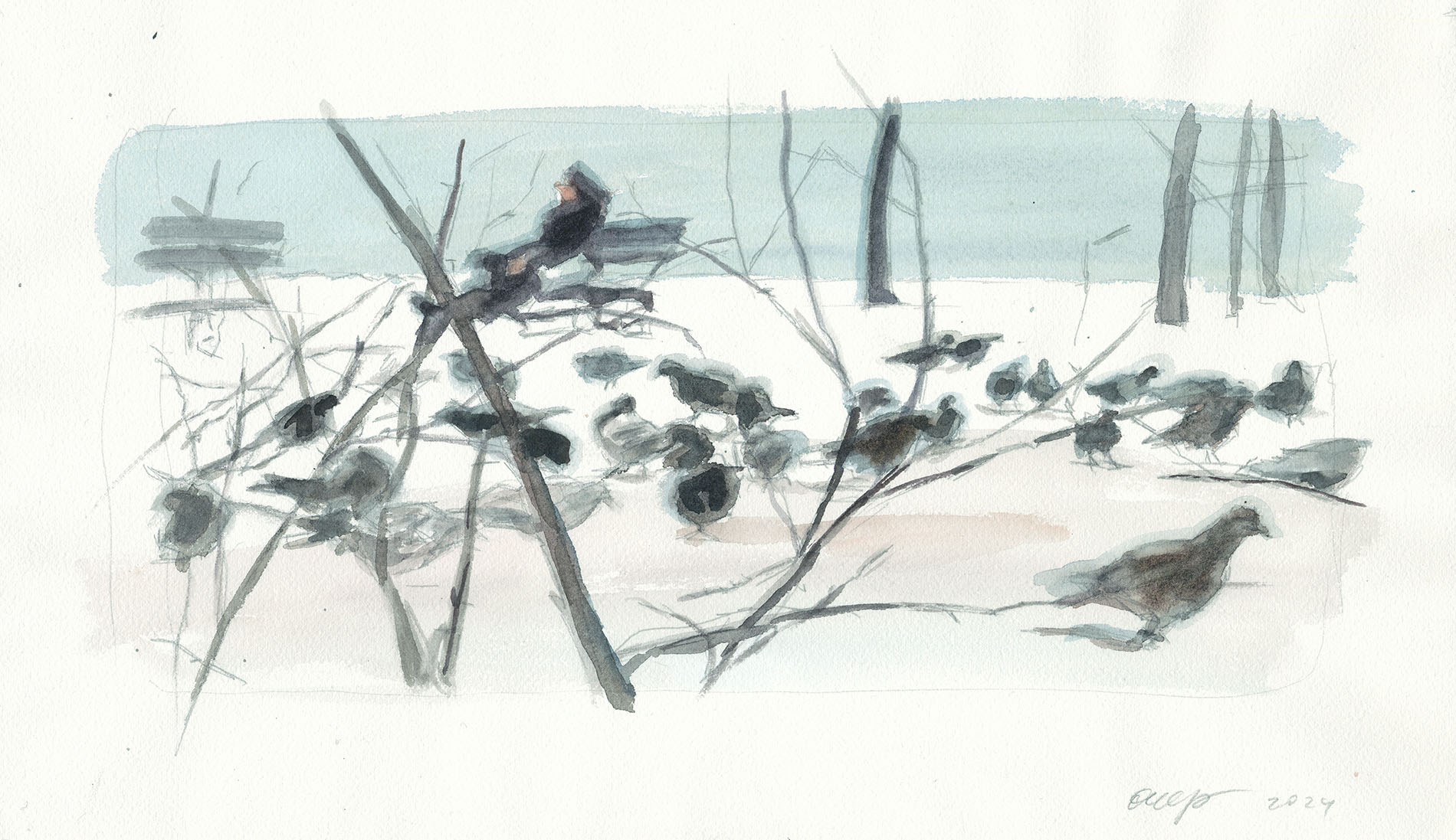 Без названия, 2024 год