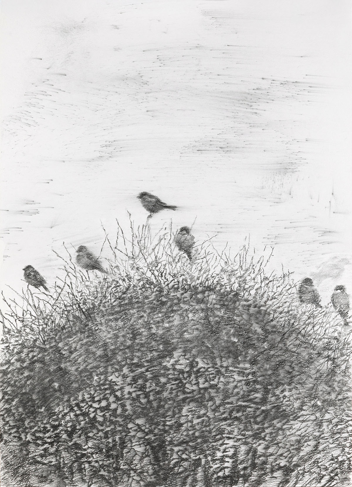 «Сфера» (фрагмент), 2025 год