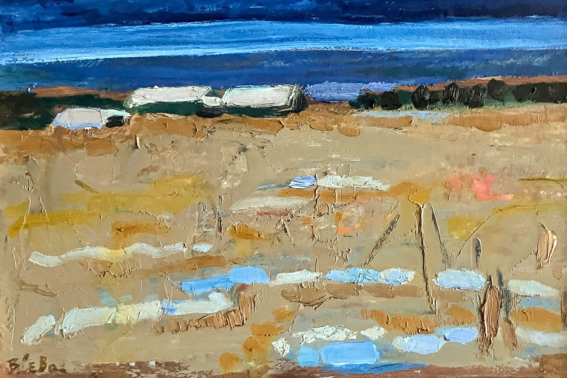 Работа Владимира Севастьянова