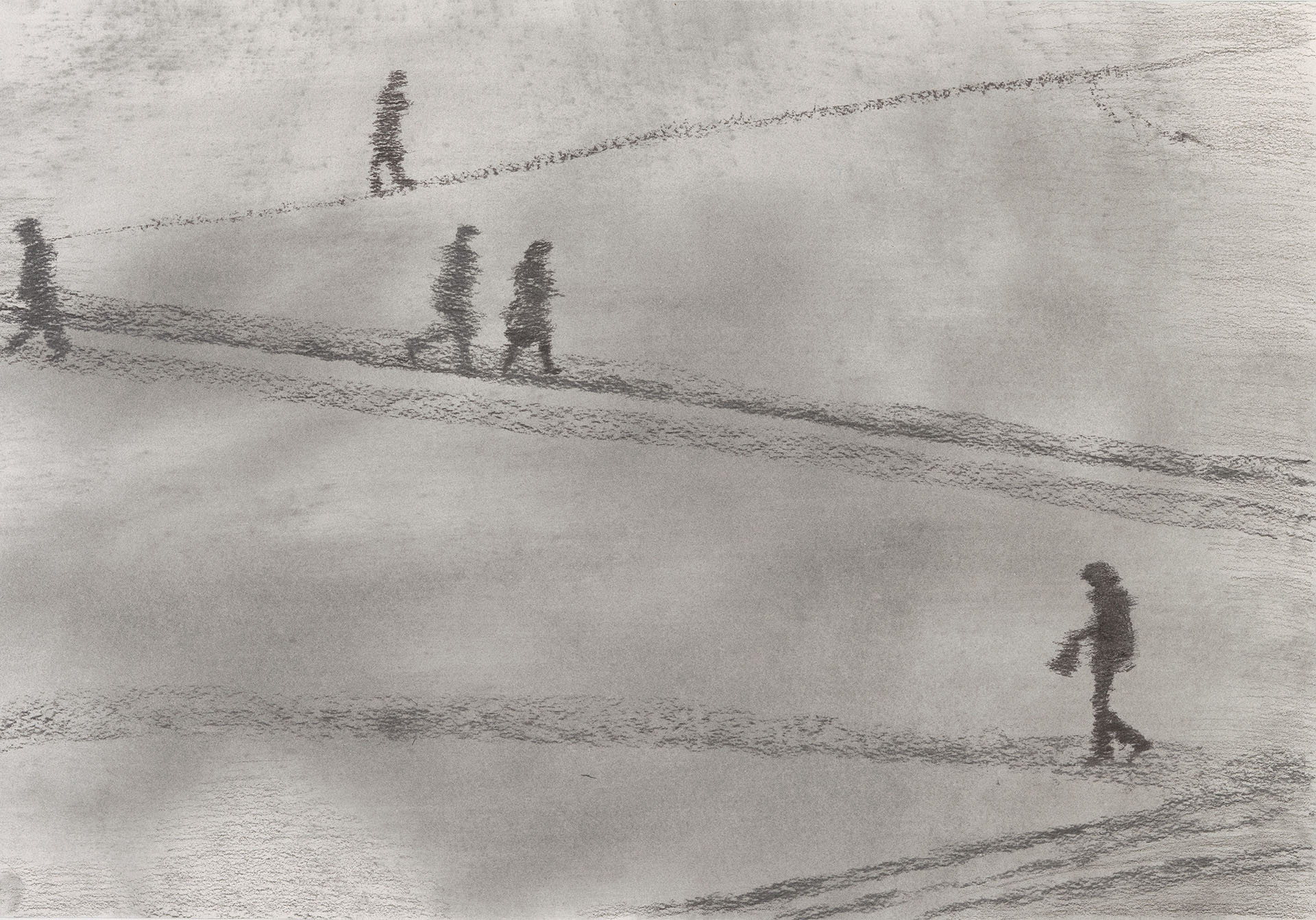 Ольга Чернышева, «Линии», 2025 год