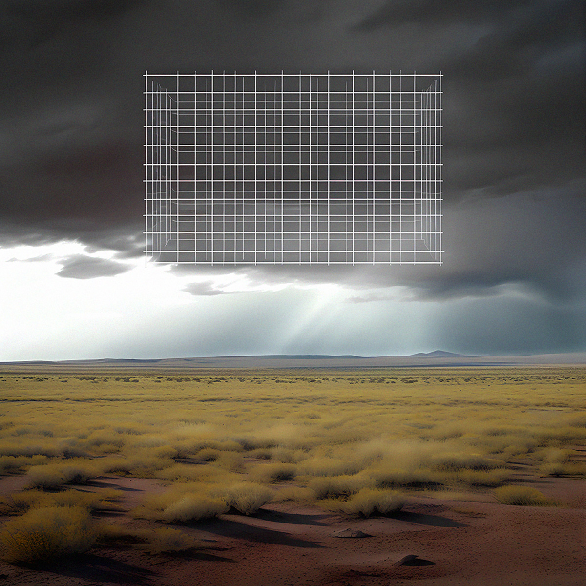 Rinatto L’Bank (Ринат Абдрахманов), «Поля на полях», 2022 год