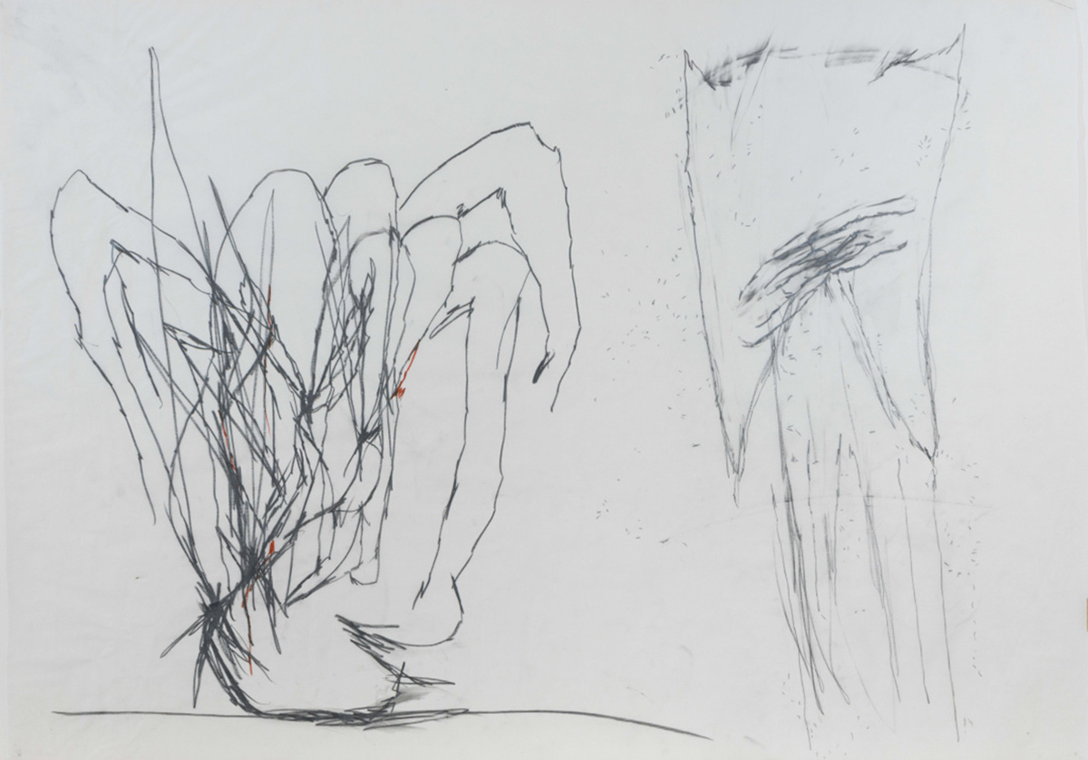 Маша Ша, «Положение», 2013 год