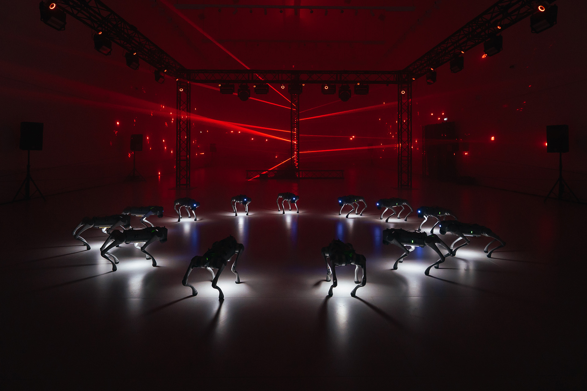 МАСАИДОВ х ЗАХАРОВА х LYM ART, «Стая Инкубатор»