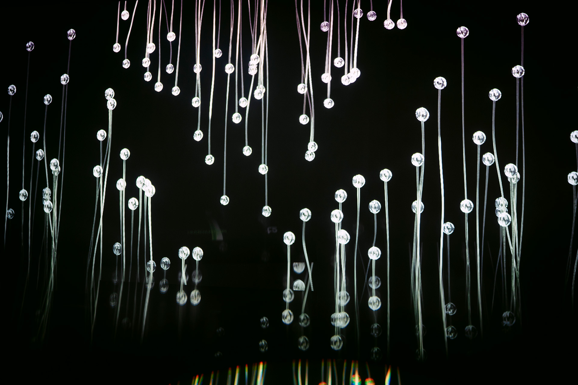 Работа Yan Paul Dubbelman