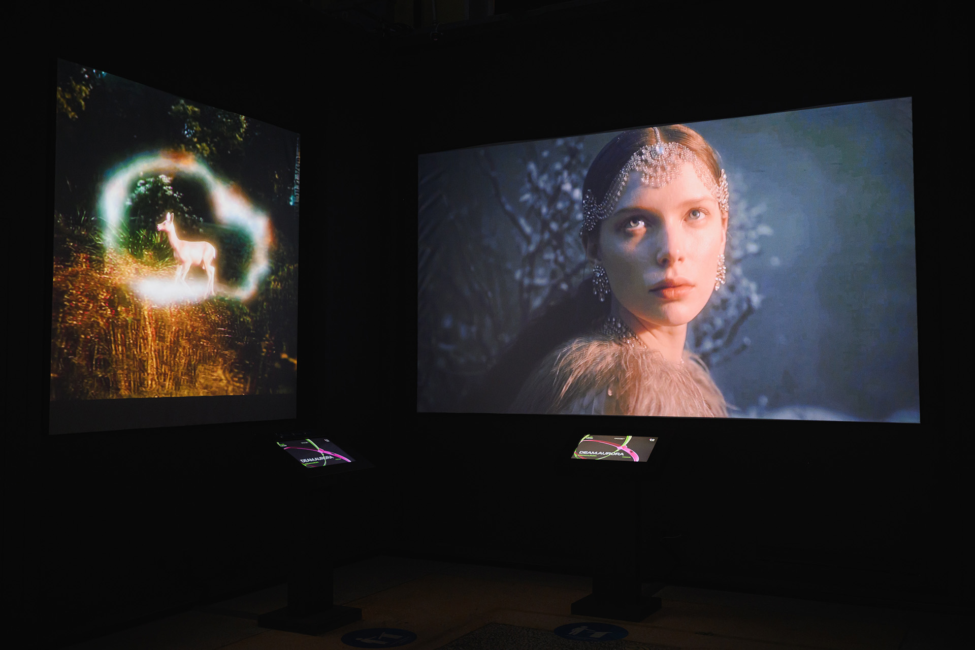 Работа Ксении Майданюк (Deam Aurora)